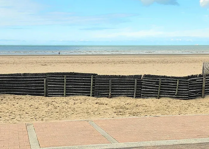 T2 With Garden And Terrace In